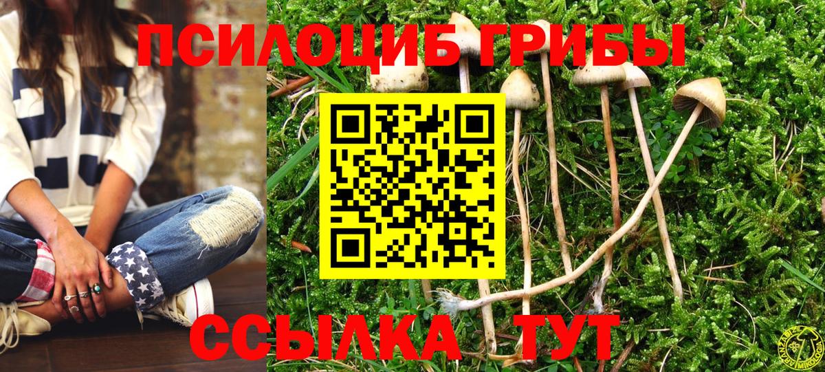 Галлюциногенные грибы Psilocybe Учалы
