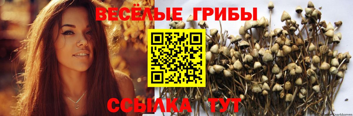 Учалы  Псилоцибиновые грибы прущие грибы  Вход с VPN 